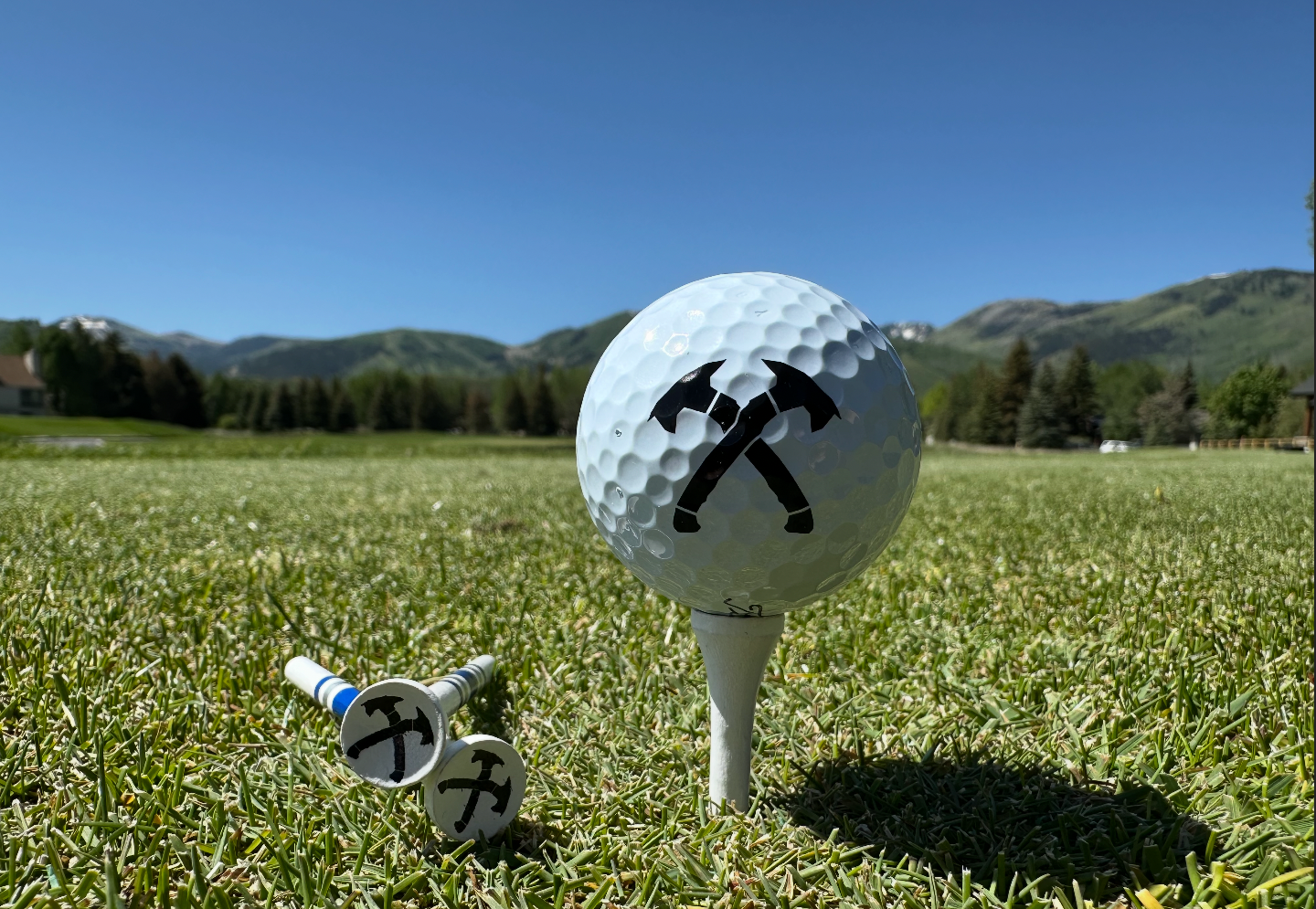 Crossed Hawks Golf Tees