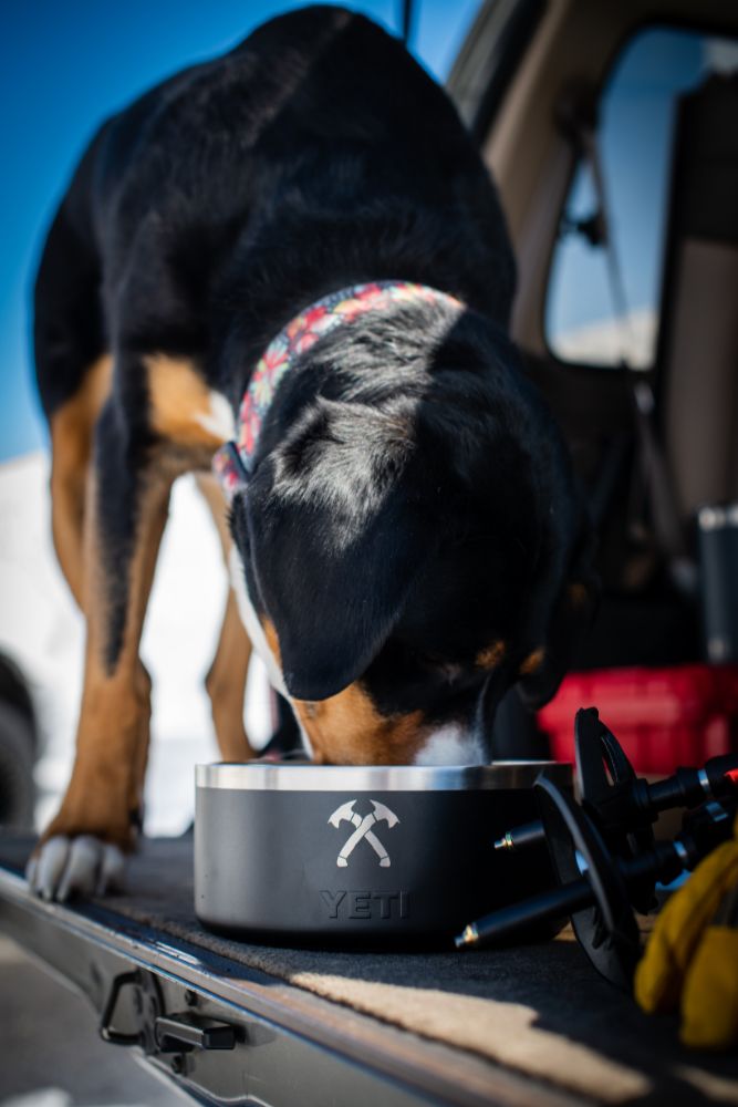 Scout's Yeti Dog Bowl